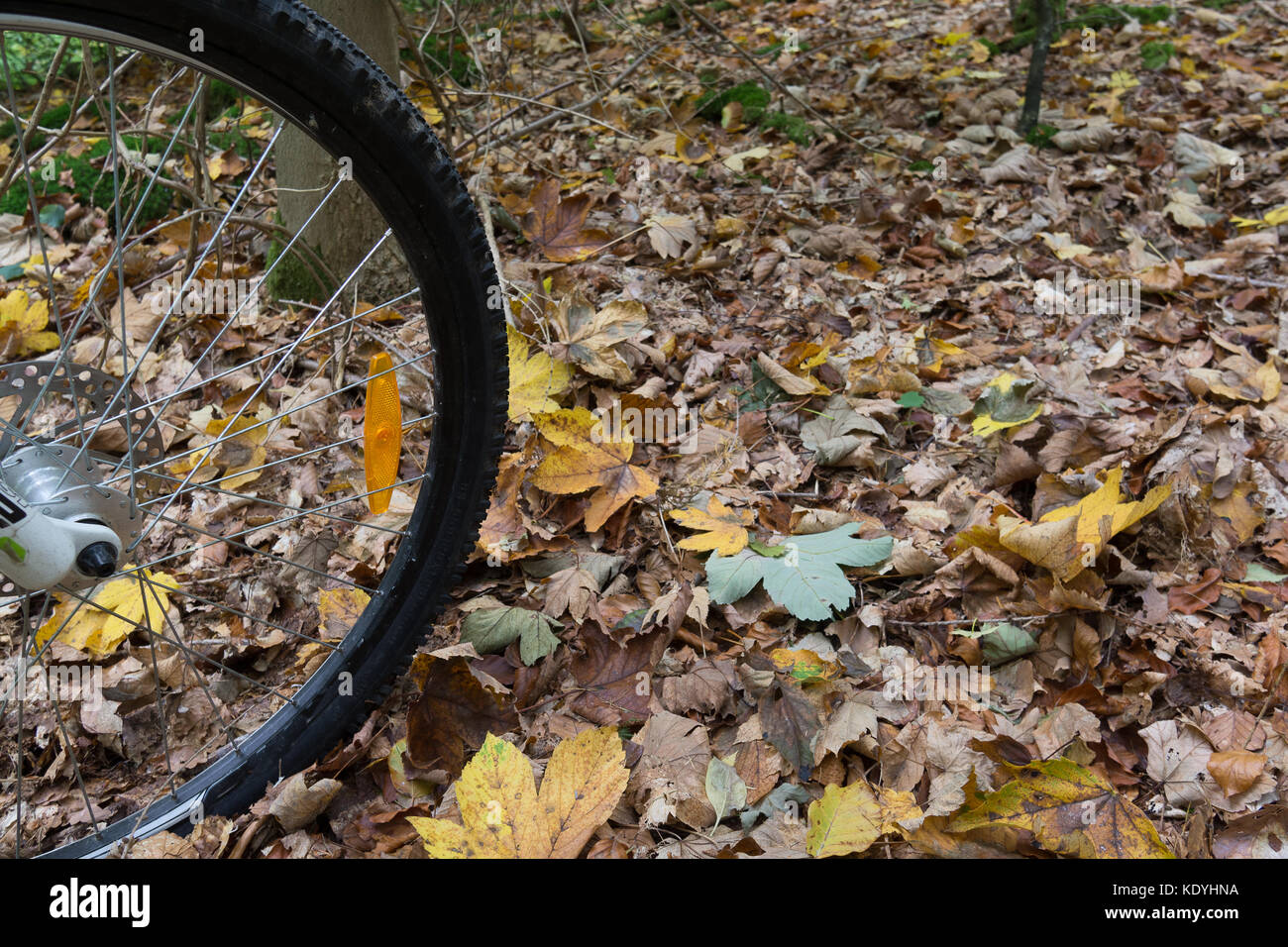 The wheel of a mountainbike rolling over yellow leaves in the fall, Denmark, October 16, 2017 Stock Photo