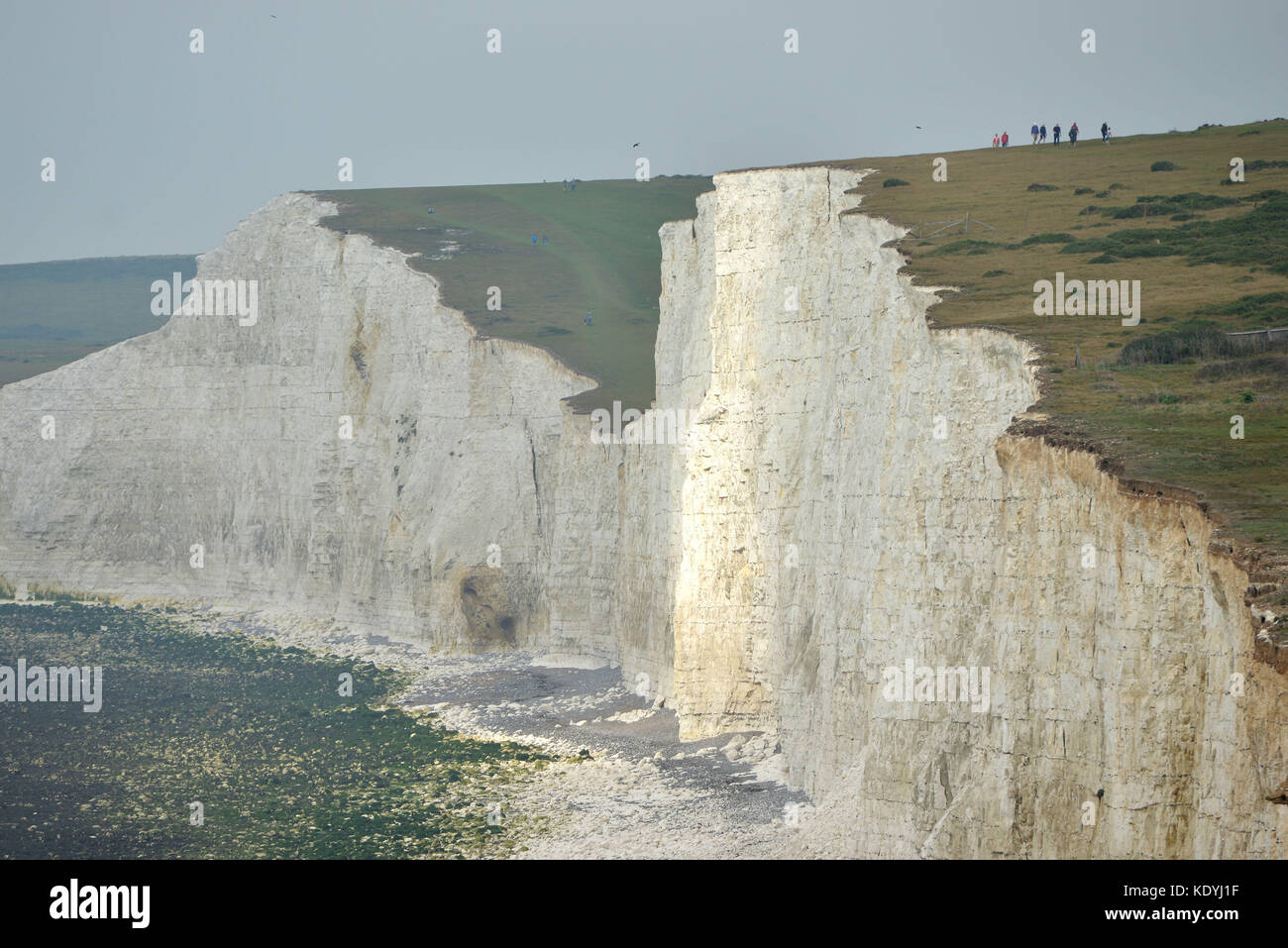 Chalk cliffs at Birling Gap, East Sussex Stock Photo Alamy