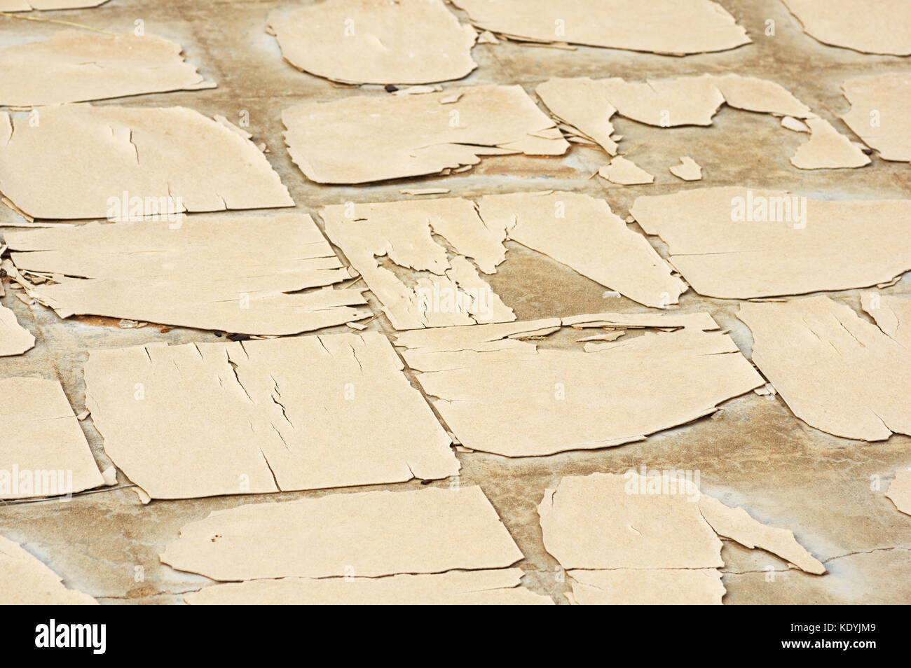 old weathered linoleum tile floor with cracked and broken tiles on concrete Stock Photo
