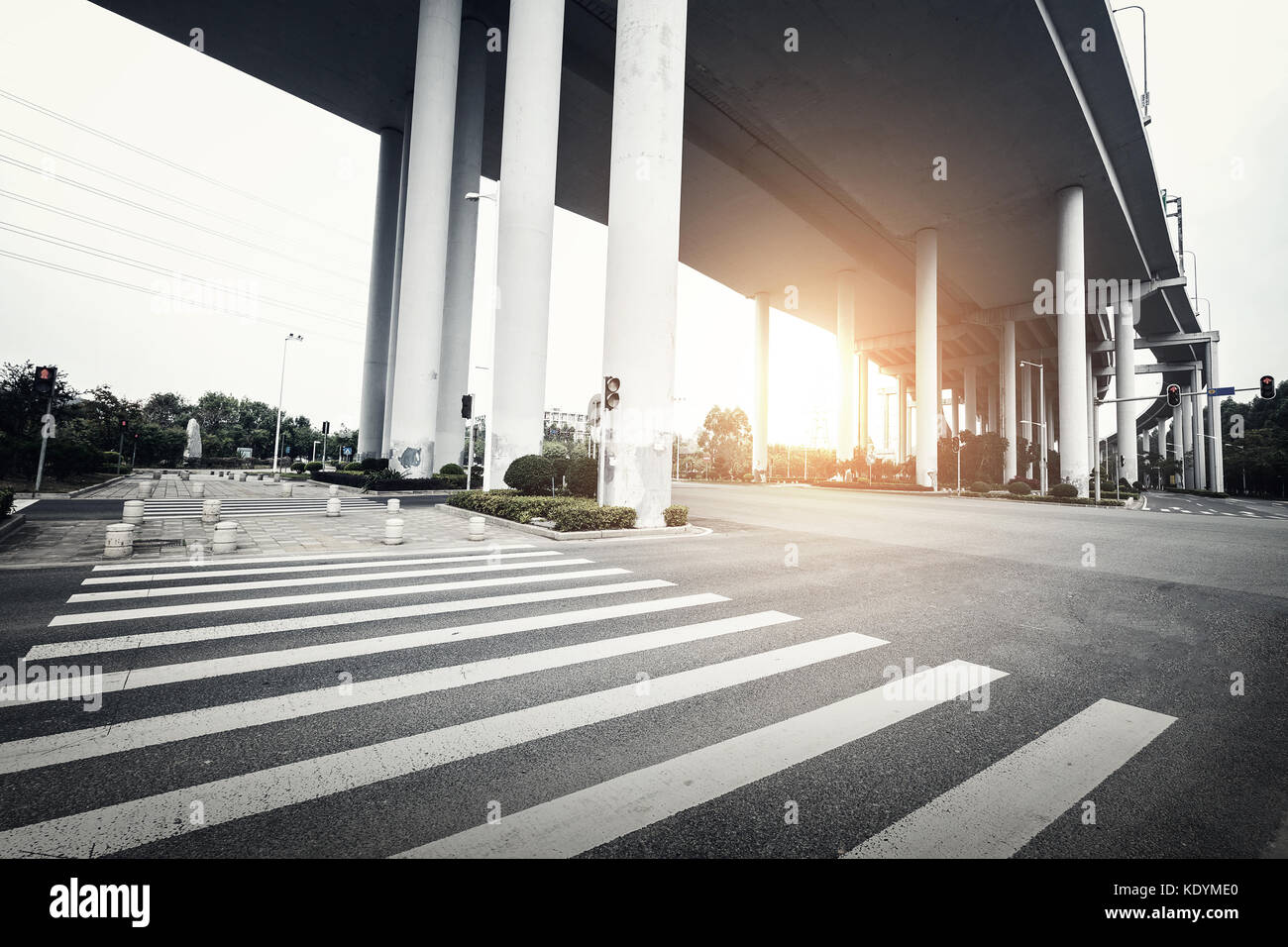 zebra crossing under the bridge Stock Photo Alamy