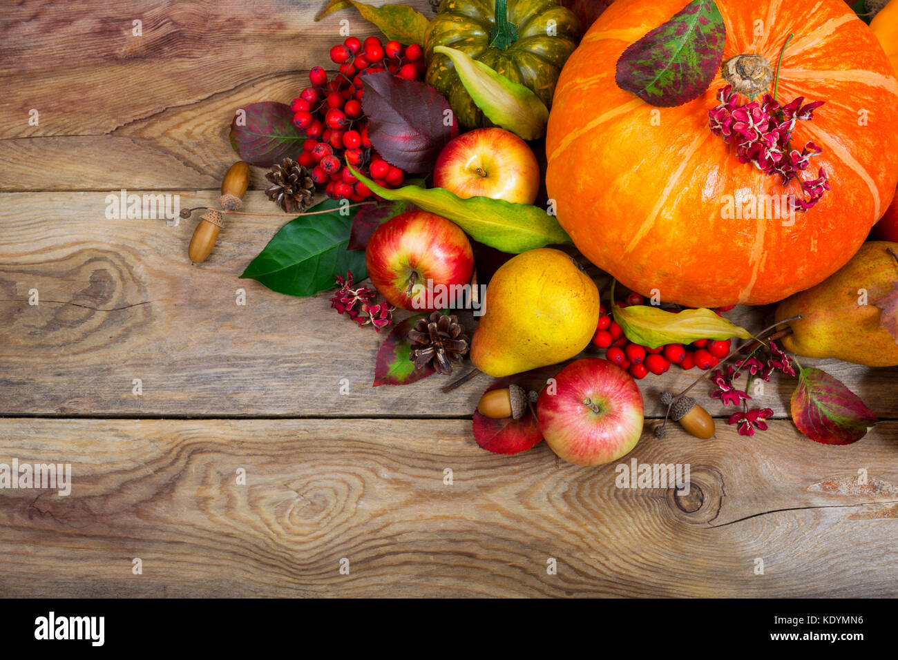 Thanksgiving greeting background with pumpkin, apples, pear, rowan ...