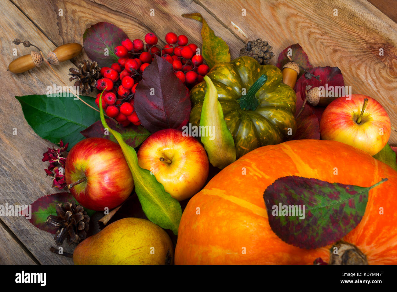Thanksgiving background with pumpkin, apples, pear, rowan berries ...