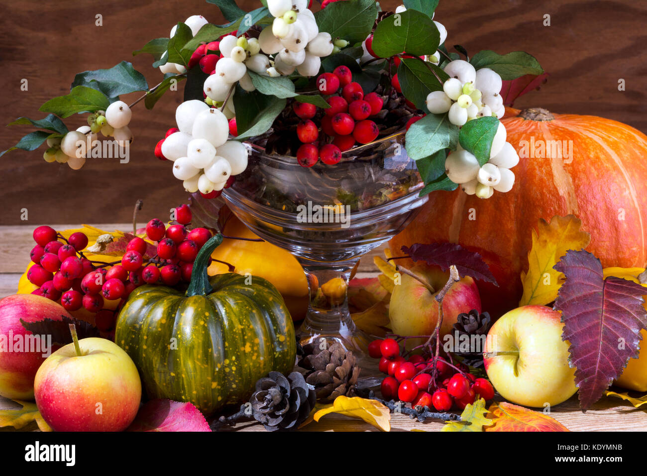 Thanksgiving or fall background with snowberry and rowan arrangement ...