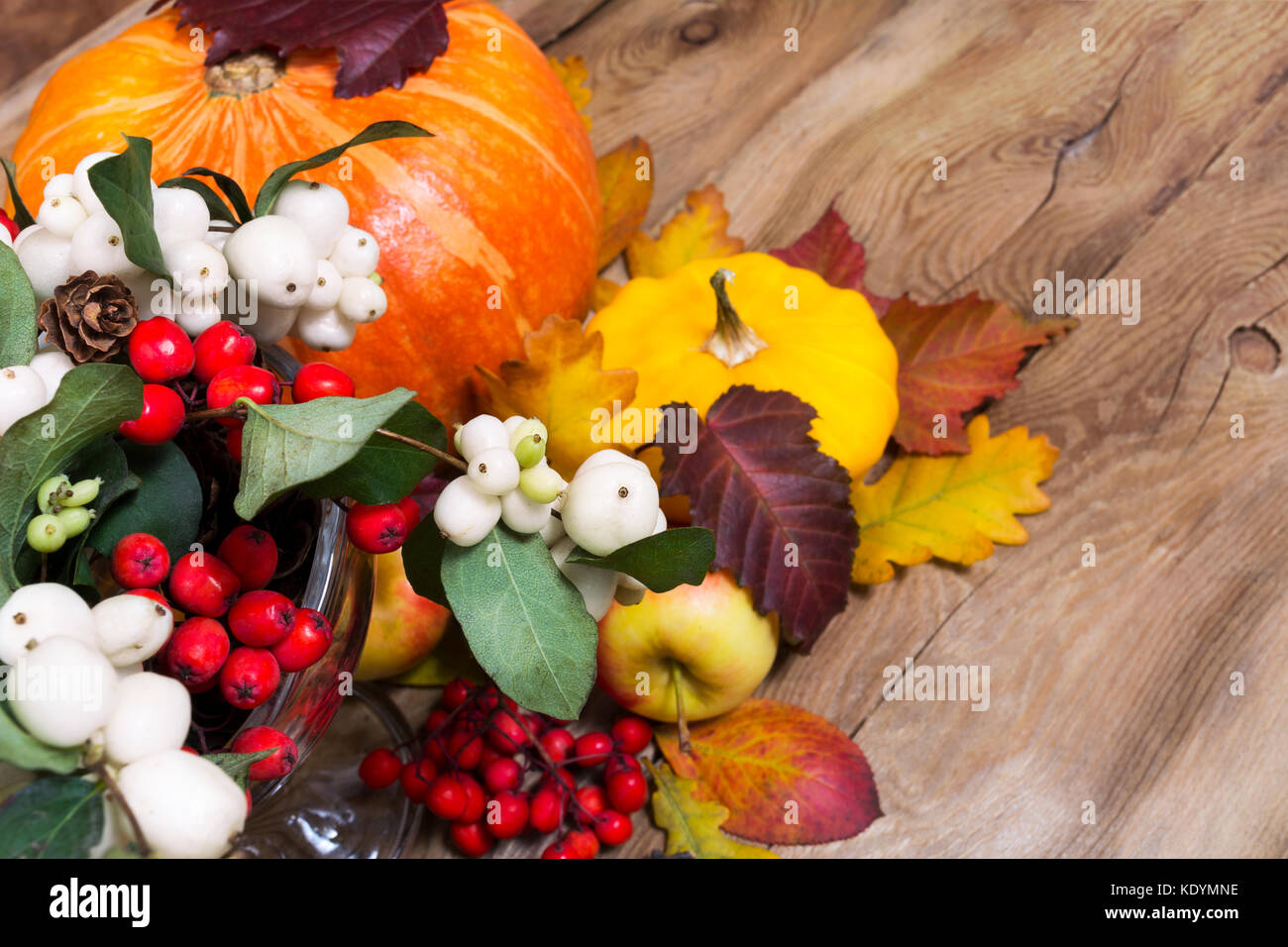 Thanksgiving or fall background with snowberry and rowan berries ...