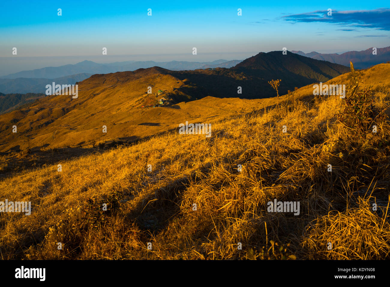 mountain landscape brown grass , Tonglu hut, Sikkim, India Stock Photo