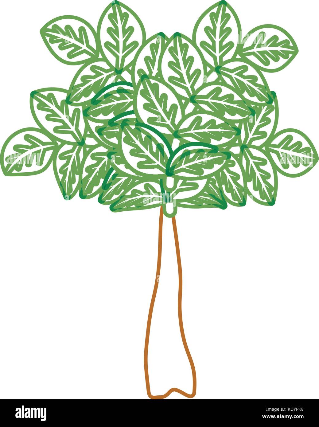 tree icon image Stock Vector Image & Art - Alamy