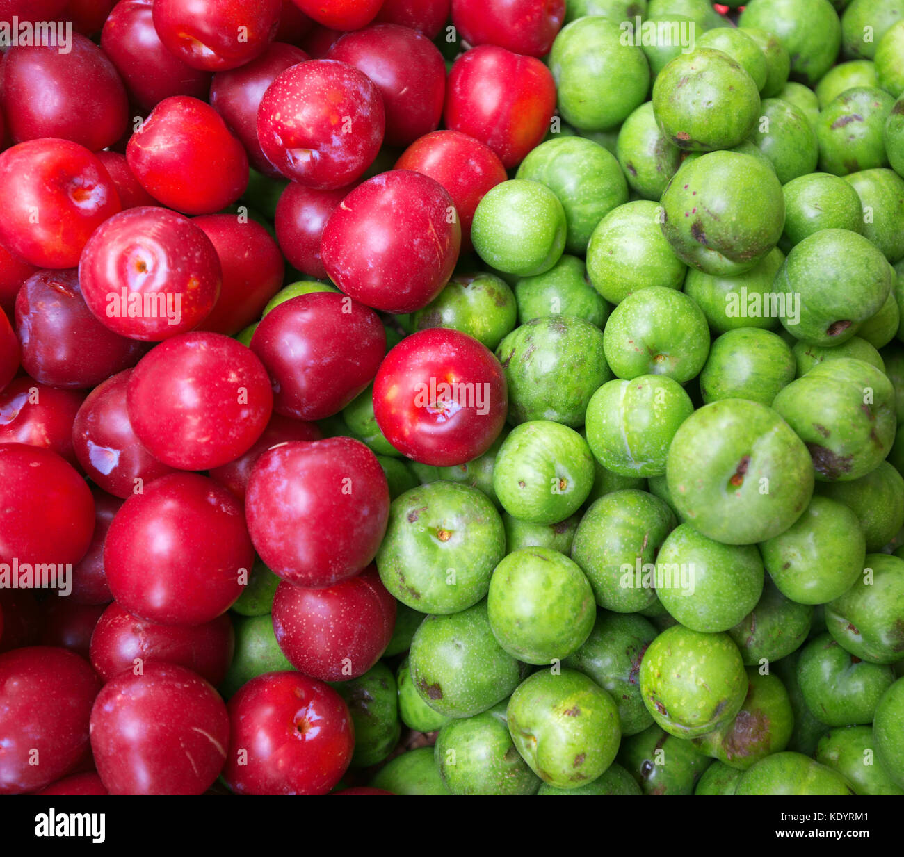Chinese plums hires stock photography and images Alamy