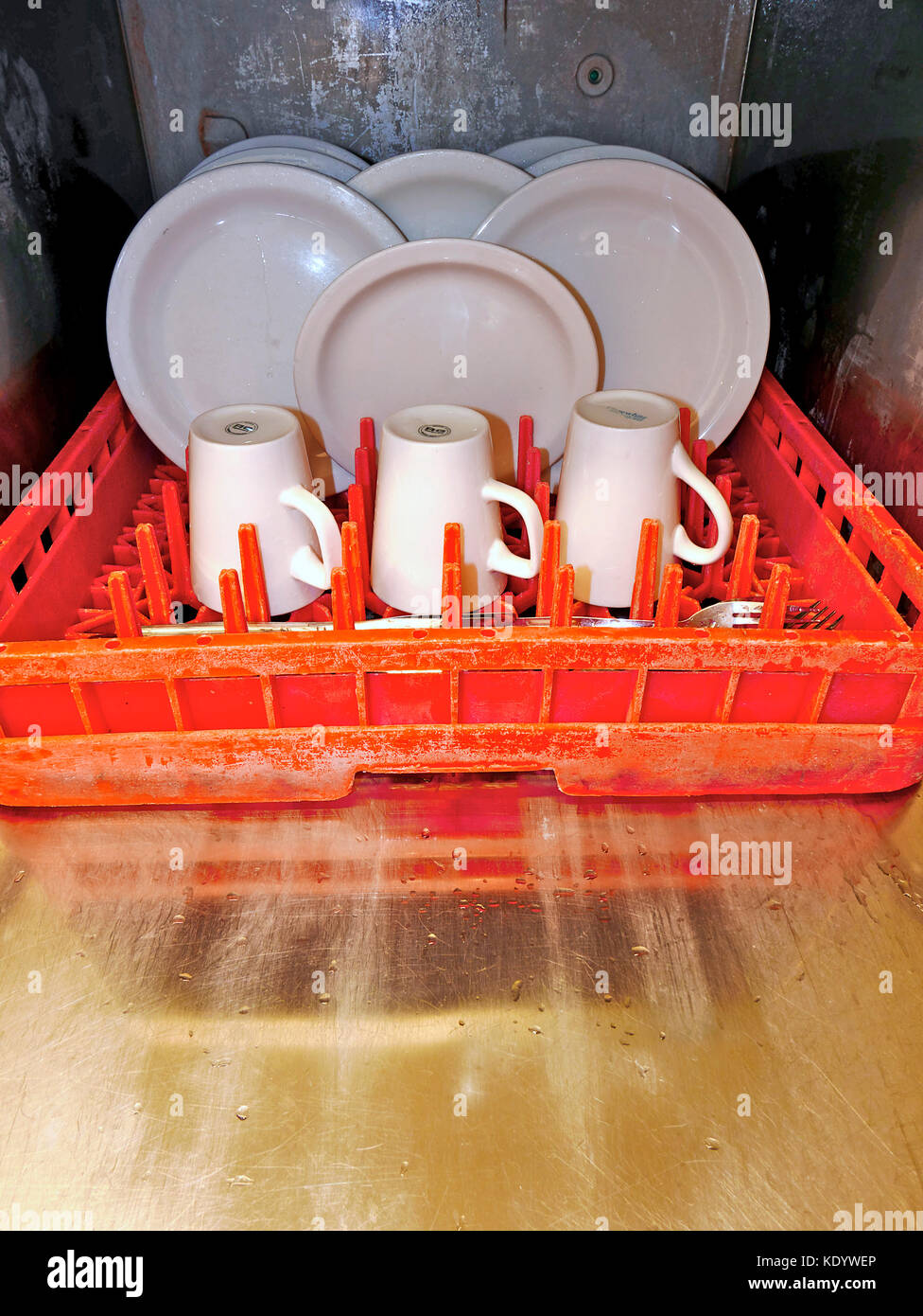 Interior of commercial dishwasher with cups and plates Stock Photo Alamy