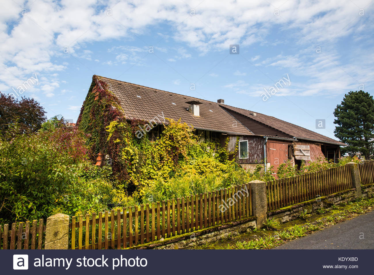 Overgrown House At Barterode Flecken Adelebsen Naturraum Stock