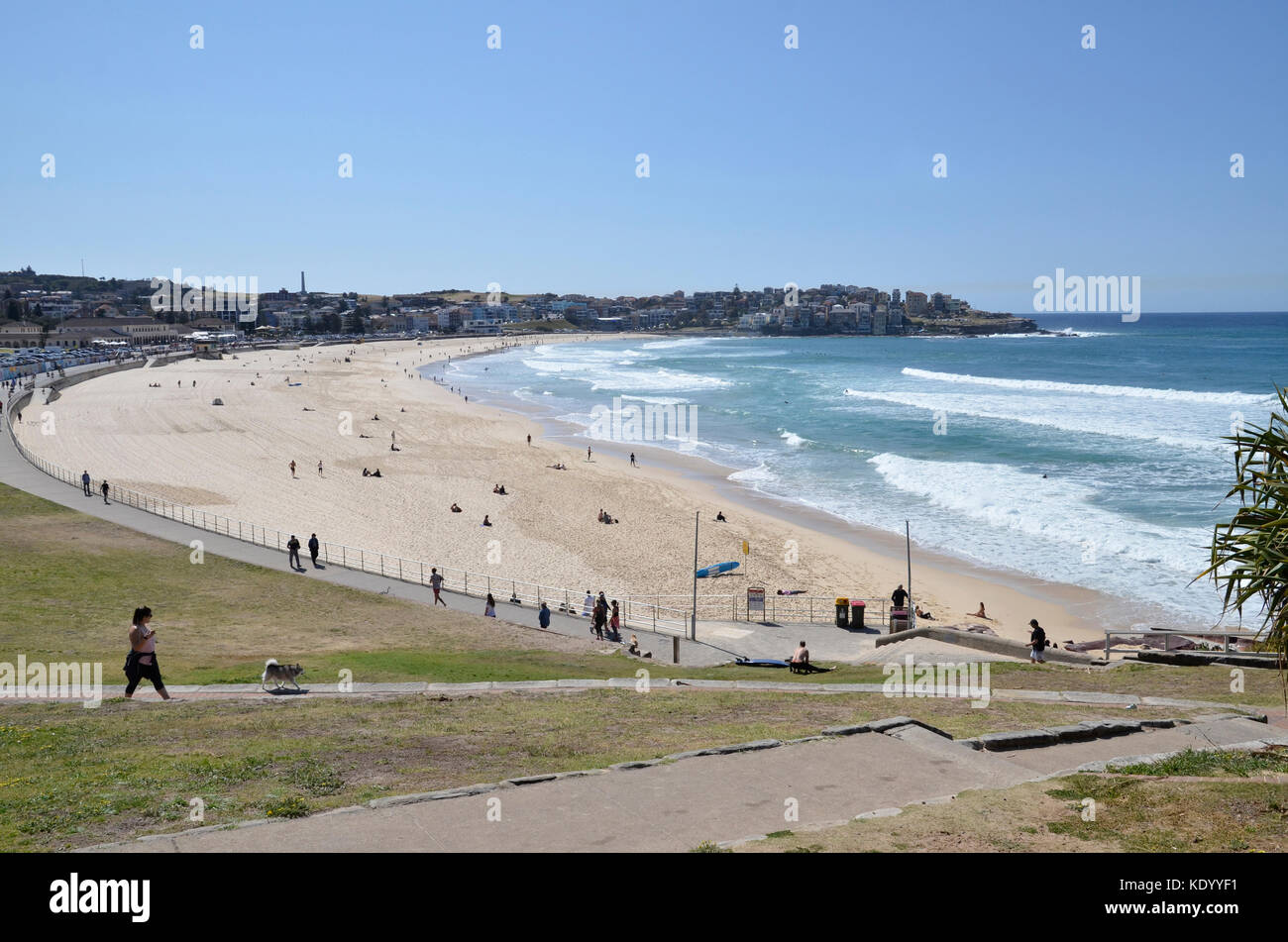 Surfers at Bondi Beach in Sydney, Australia Stock Photo