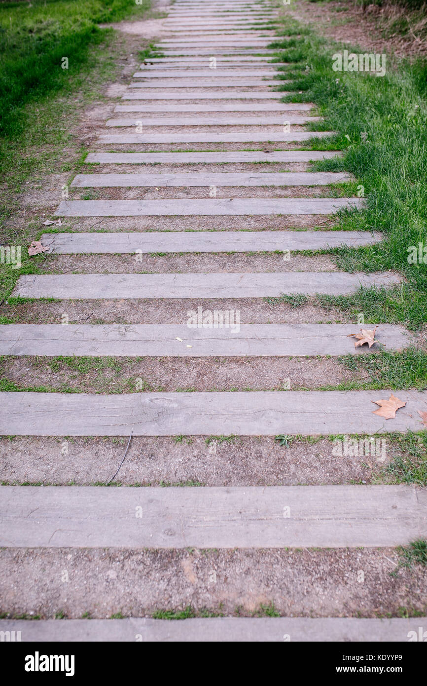 Wooden path beach birds hi-res stock photography and images - Alamy