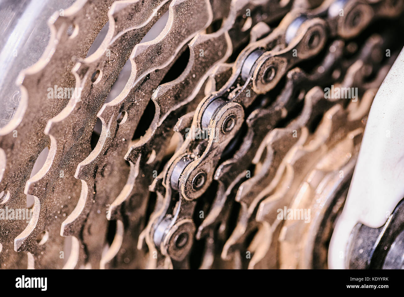 Bicycle chain gear Stock Photo Alamy