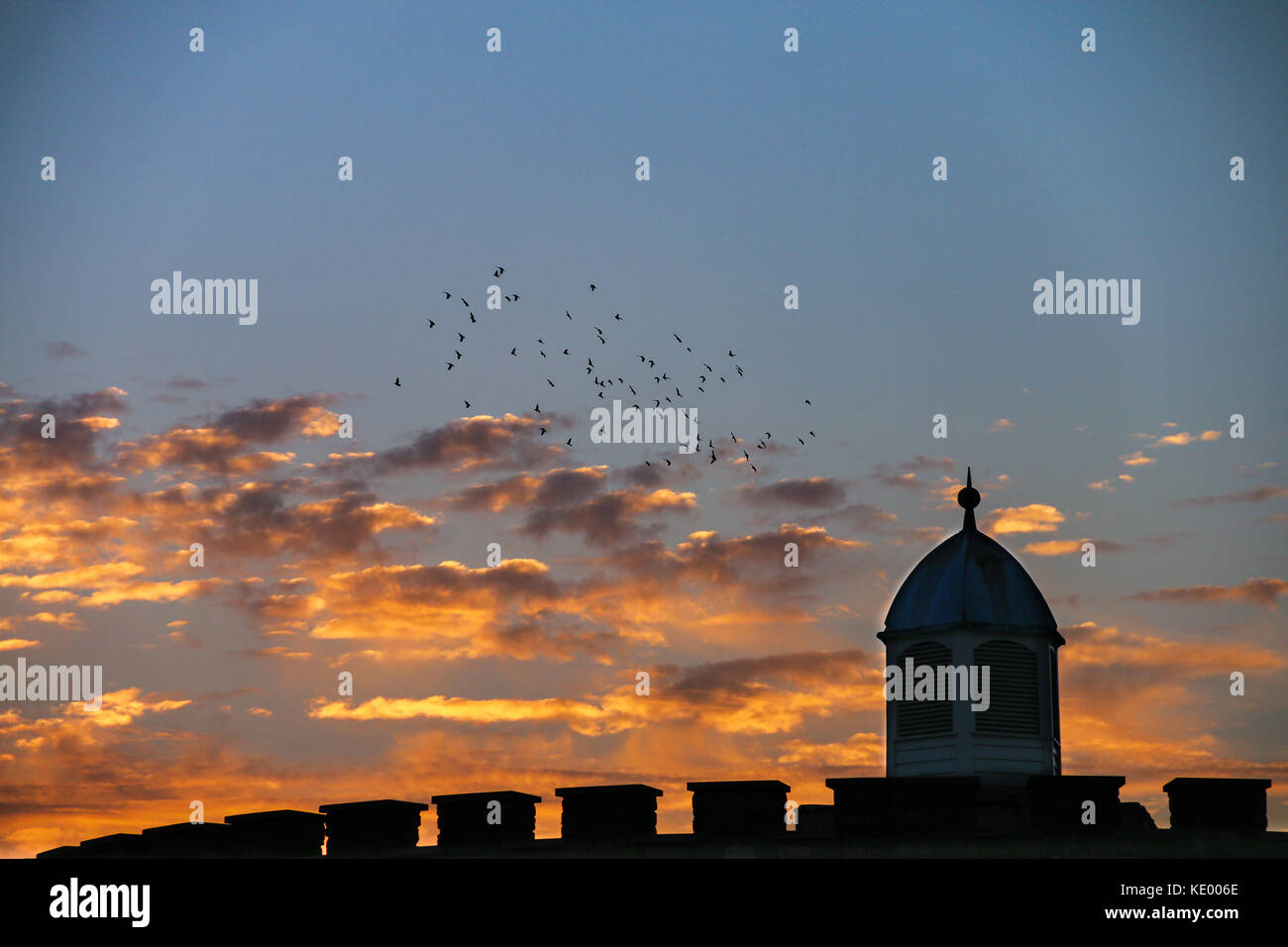 Starlings at sunset over Deal Castle Stock Photo