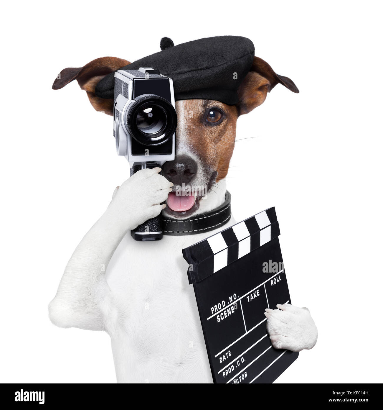 movie director dog with a vintage camera Stock Photo - Alamy