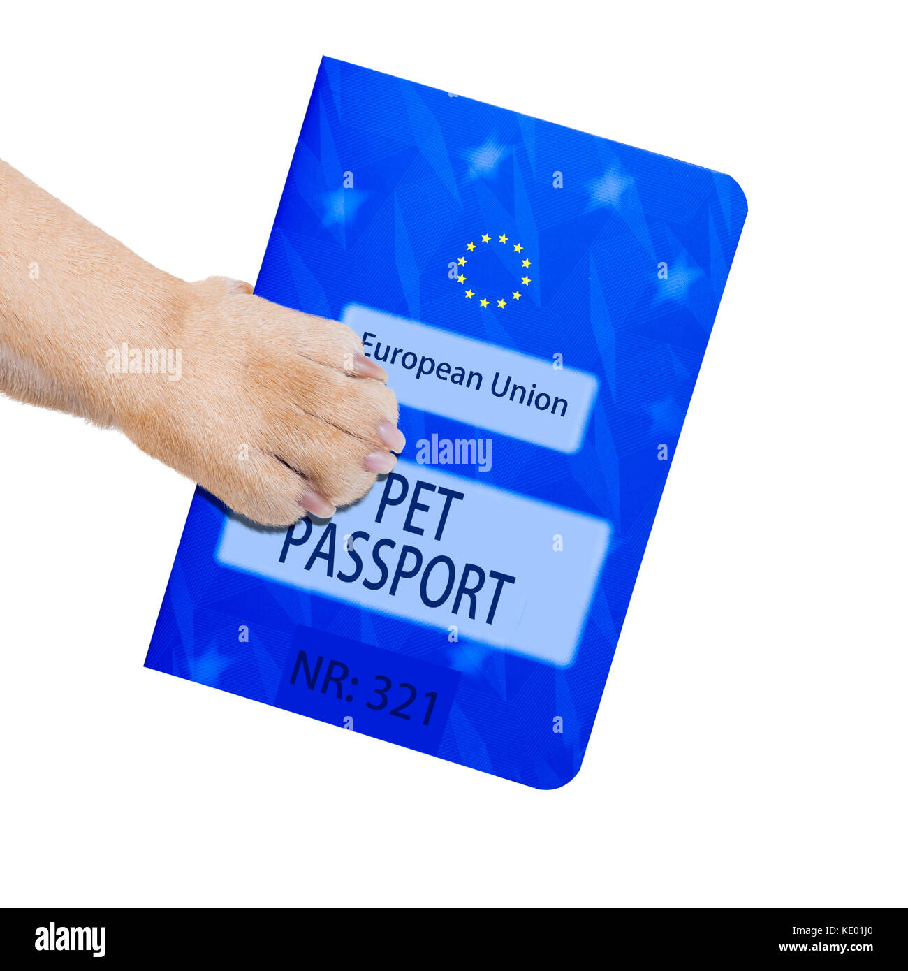 dog or pet holding its pet passport with paw , isolated on white background Stock Photo