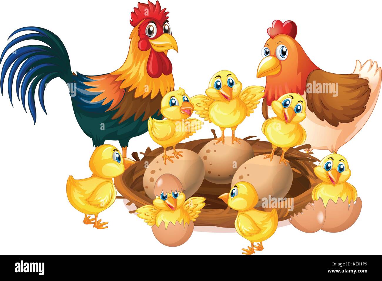 Chicken family on white background illustration Stock Vector