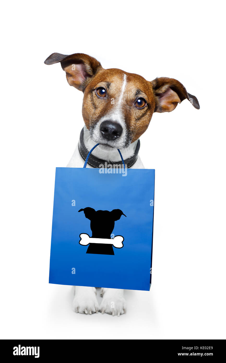 shopping bag dog Stock Photo Alamy