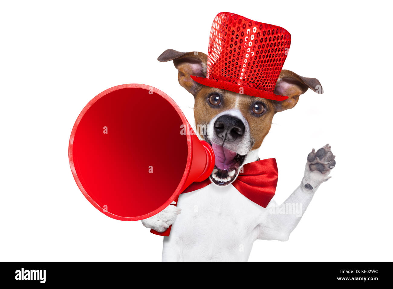Discount dog 2025