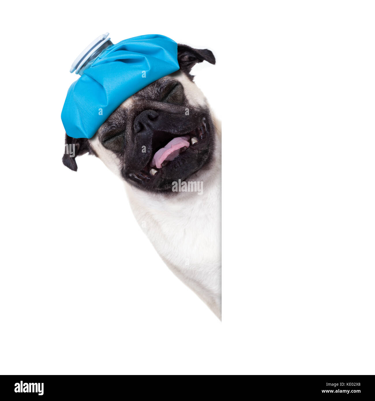 ice bag on head