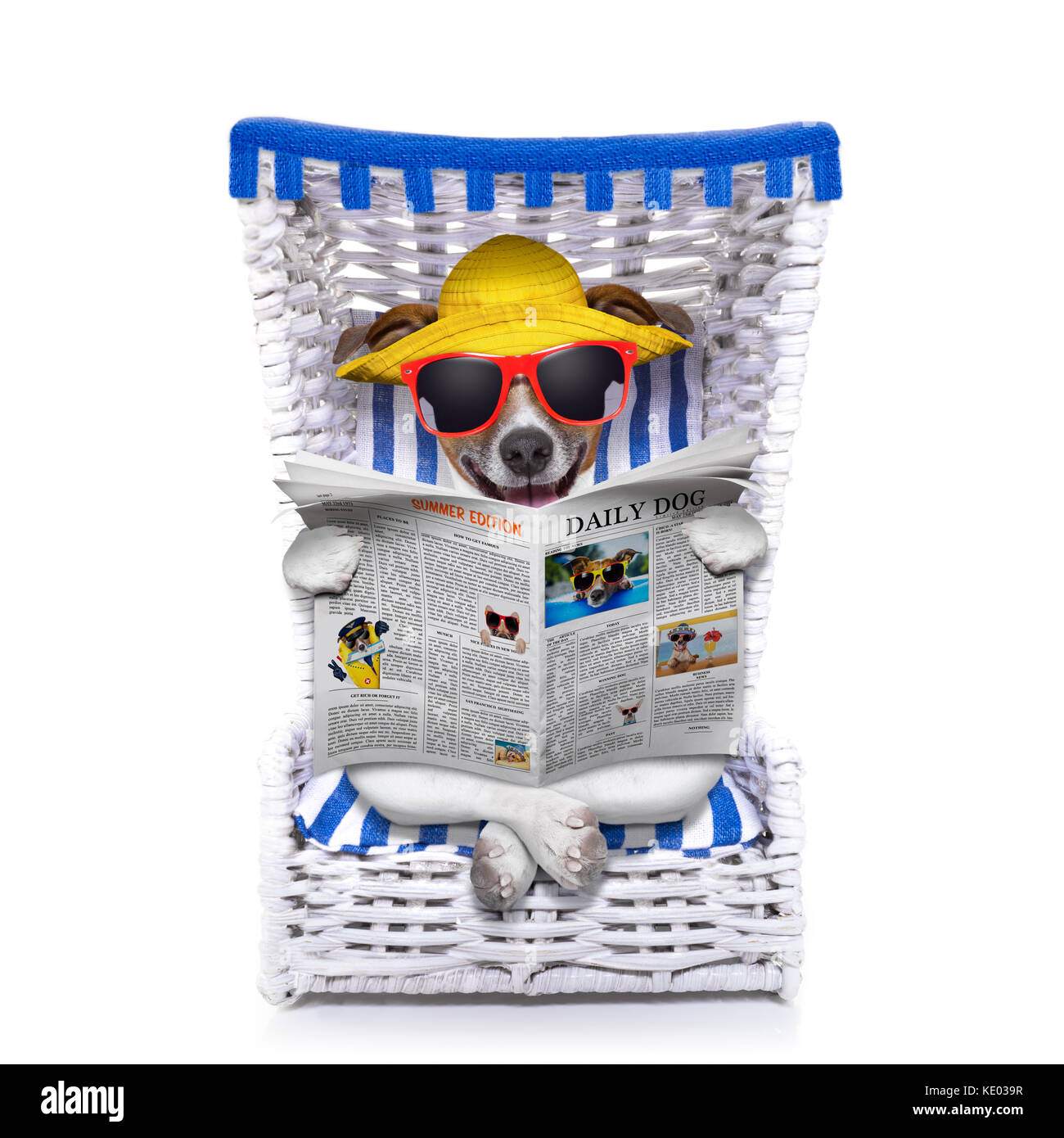 dog reading newspaper on a beach chair with sunglasses and yellow hat