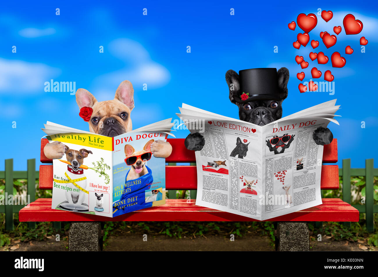 Two dogs reading dog hi-res stock photography and images - Alamy