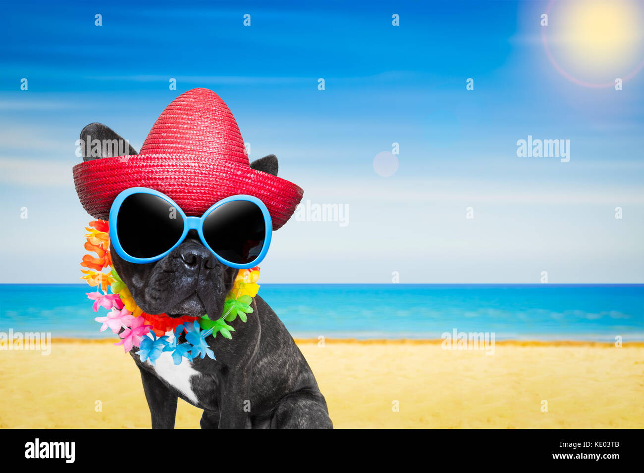 French Bulldog Dog At The Beach With Hat And Sunglasses , Relaxing 