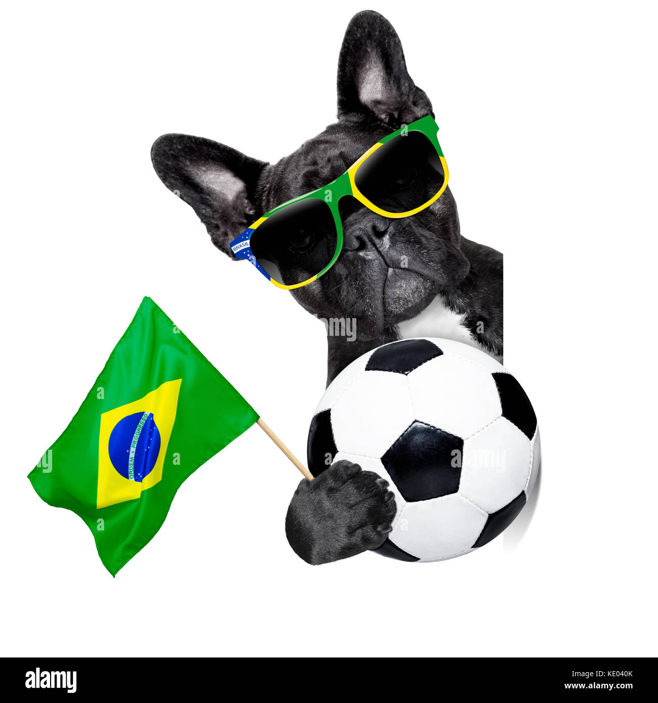 Boxer brasil. Собака с футбольным мячом. Собака с футбольным шарфом. Бен собака с футбольным мячом. Brazil Dog.