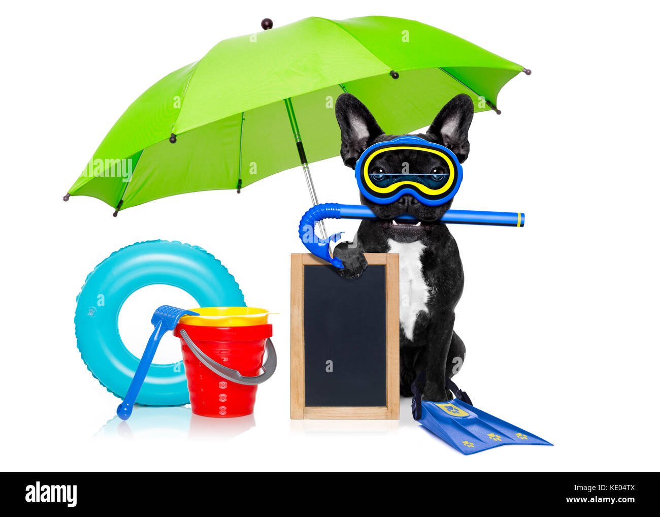 Snorkeling scuba diving french bulldog dog with mask and fins and