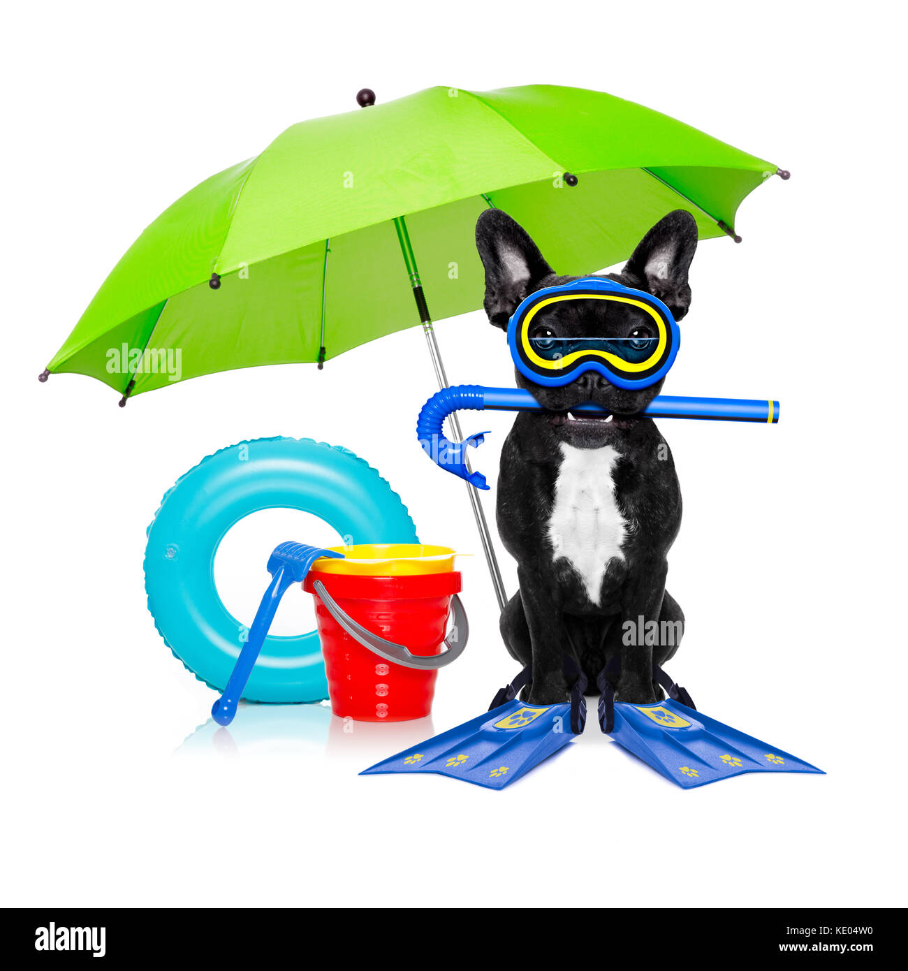 Snorkeling scuba diving french bulldog dog with mask and fins and