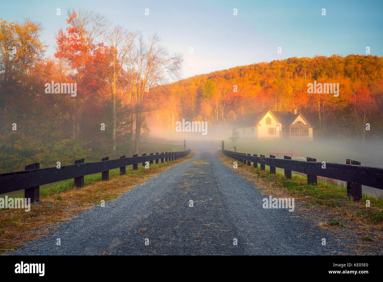 A long, fence-lined lane leads into a bank of fog with glowing sunlit autumn foliage in the background. Stock Photo