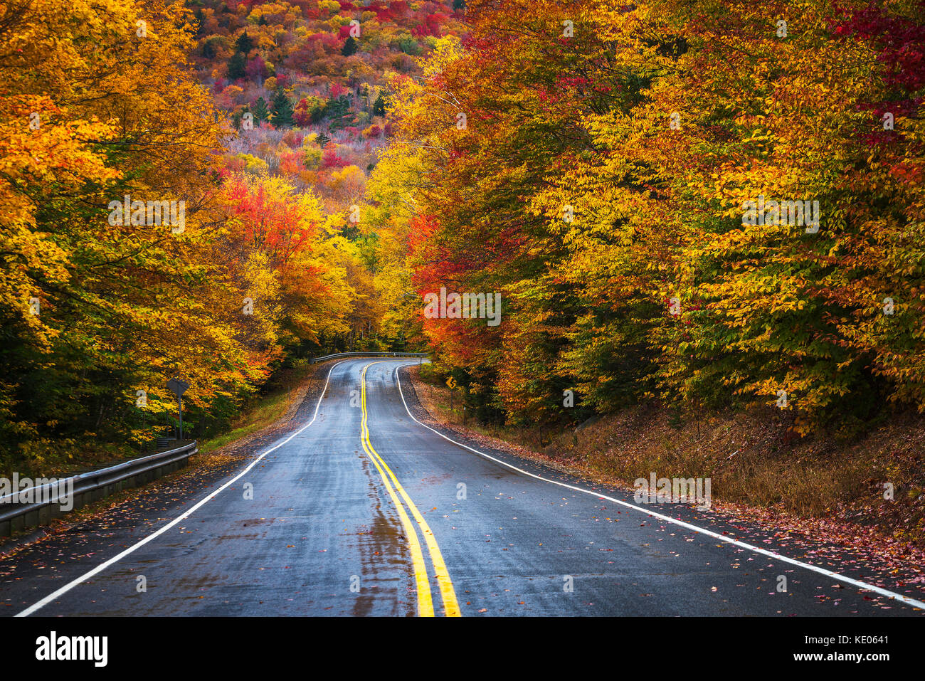 A two lane road, engulfed by colorful autumn foliage, curves and disappears in the forest of the White Mountains of New Hampshire in New England, USA. Stock Photo