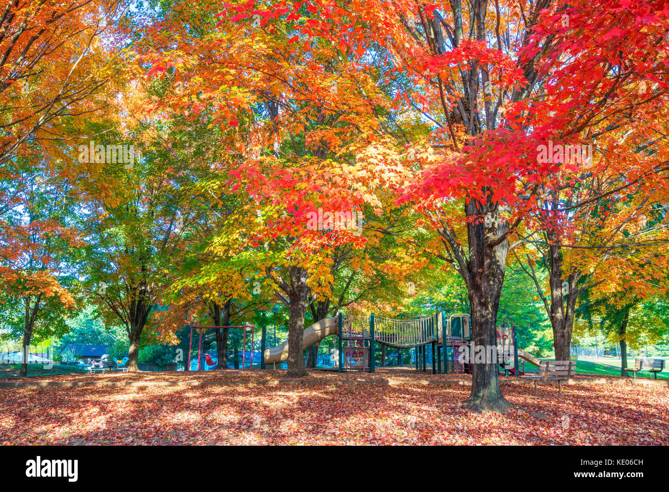 Trees with colorful autumn foliage give shade to a neighborhood playground. Stock Photo