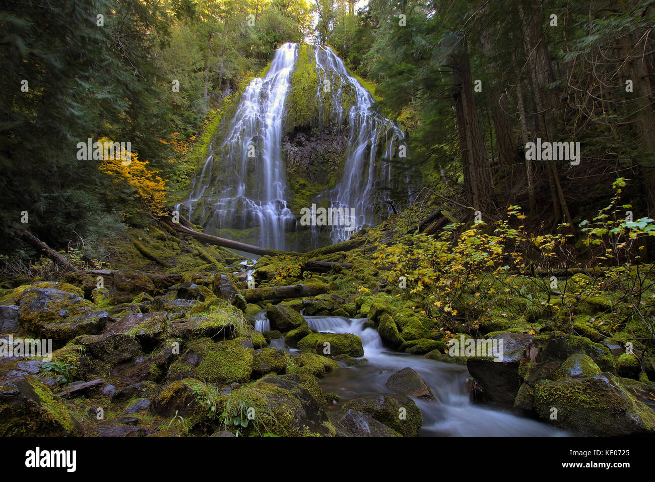 Proxy Falls near Blue River in Oregon Stock Photo
