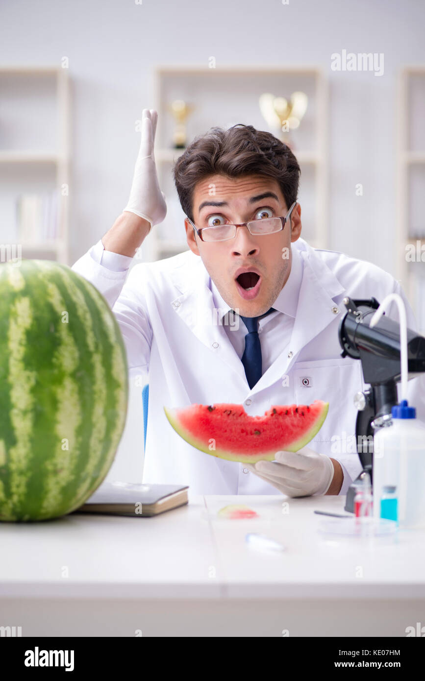 Scientist testing watermelon in lab Stock Photo - Alamy