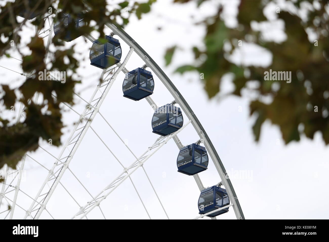 Ferris wheel framed by leaves Stock Photo