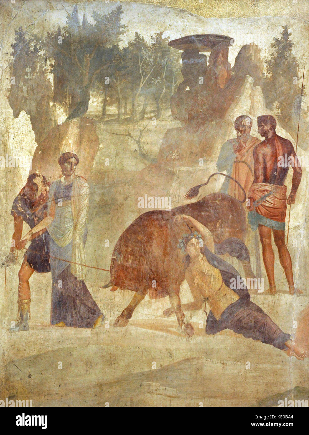 Roman fresco depicting Dirce tied to a bull by Amphion and Zeto to avenge his mother Antiope. First imperial era. House of the Grand Duke of Tuscany, Pompeii. National Archaeological Museum. Naples. Italy. Stock Photo