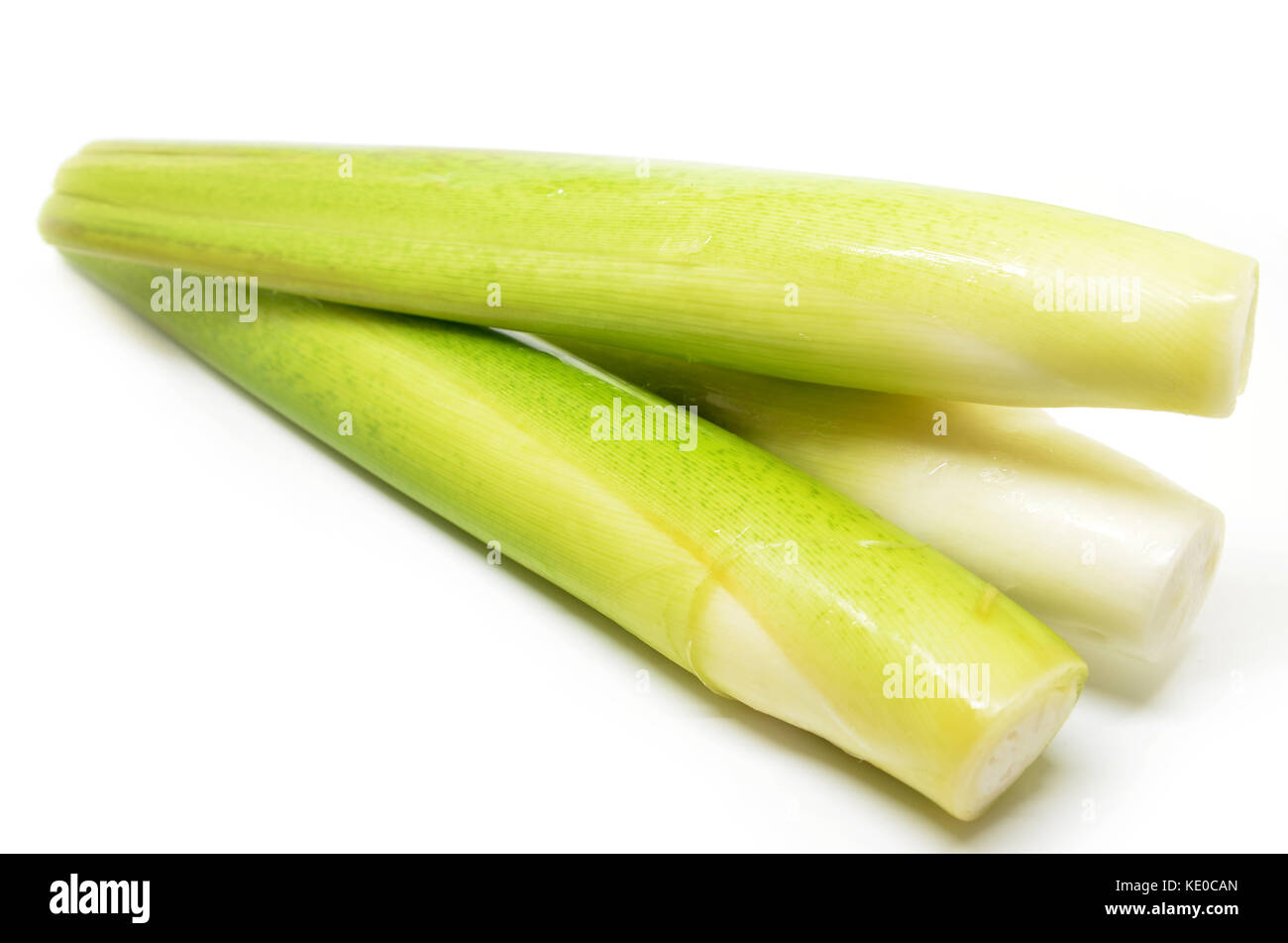 Fresh water bamboo shoot isolated on white background Stock Photo Alamy