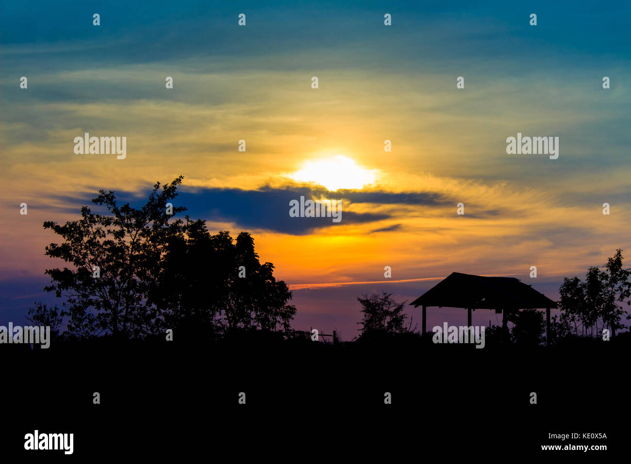 sunset with a trees silhouette at sunset Stock Photo - Alamy