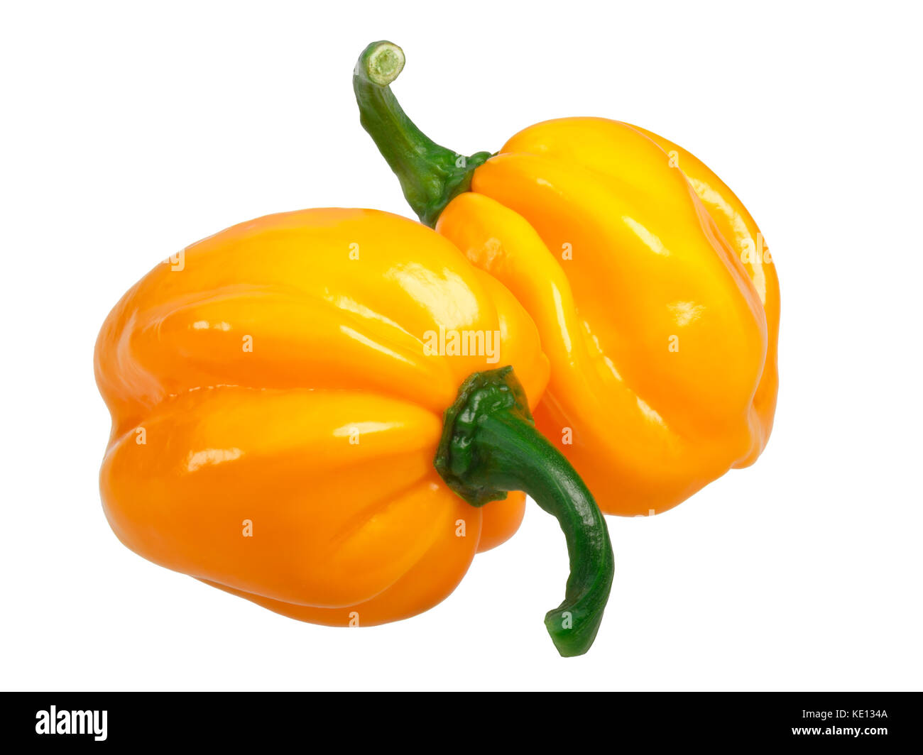 numex suave orange chile peppers capsicum chinense habanero type stock photo alamy https www alamy com stock image numex suave orange chile peppers capsicum chinense habanero type clipping 163522922 html