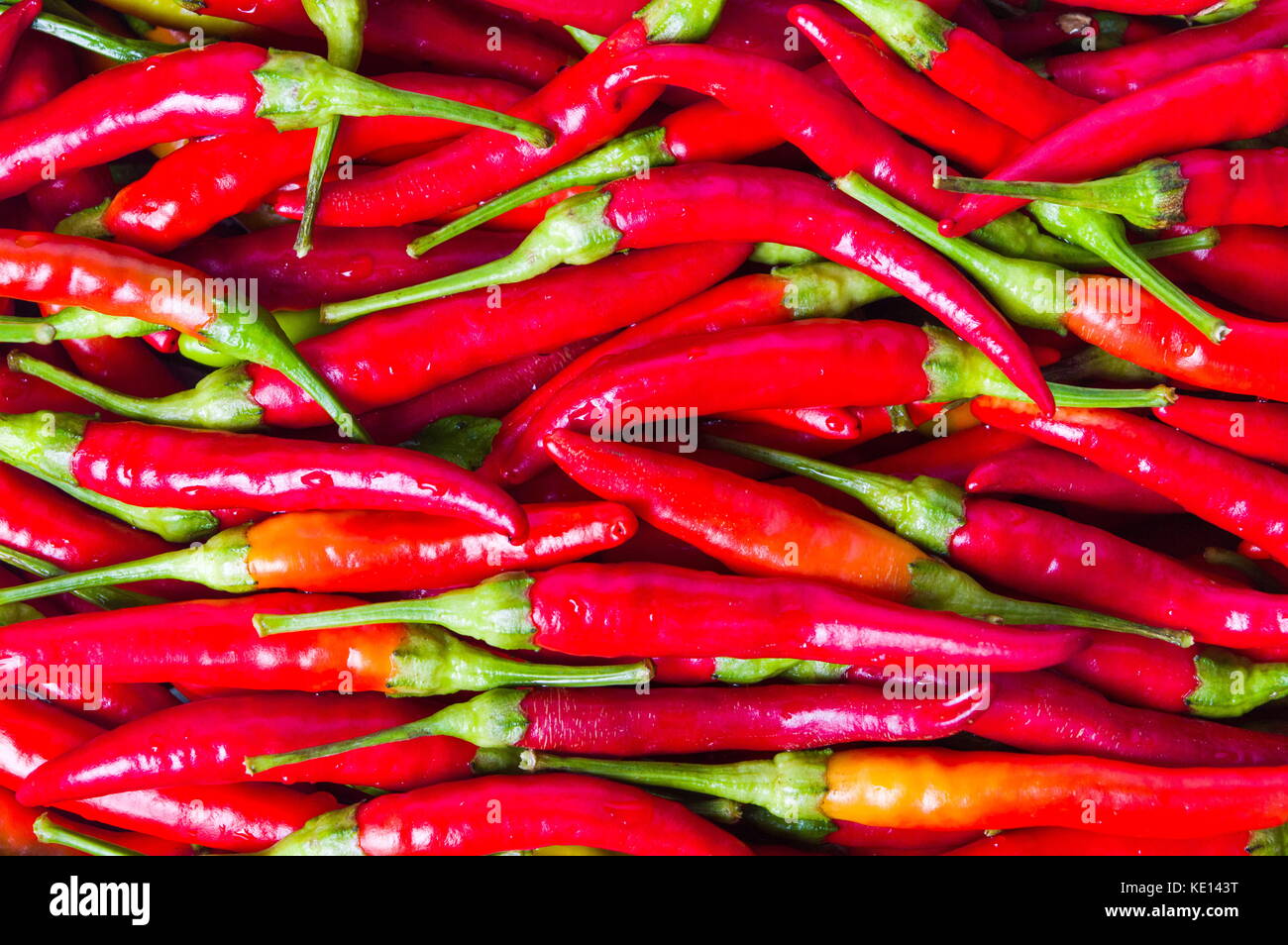 Thin red peppers on a pile background texture Stock Photo