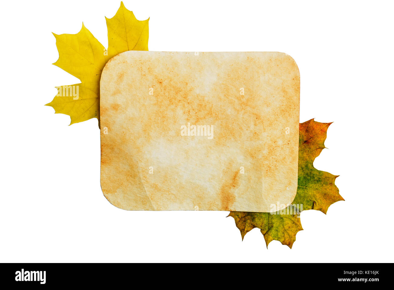 autumn background - old paper texture on the leaves Stock Photo - Alamy