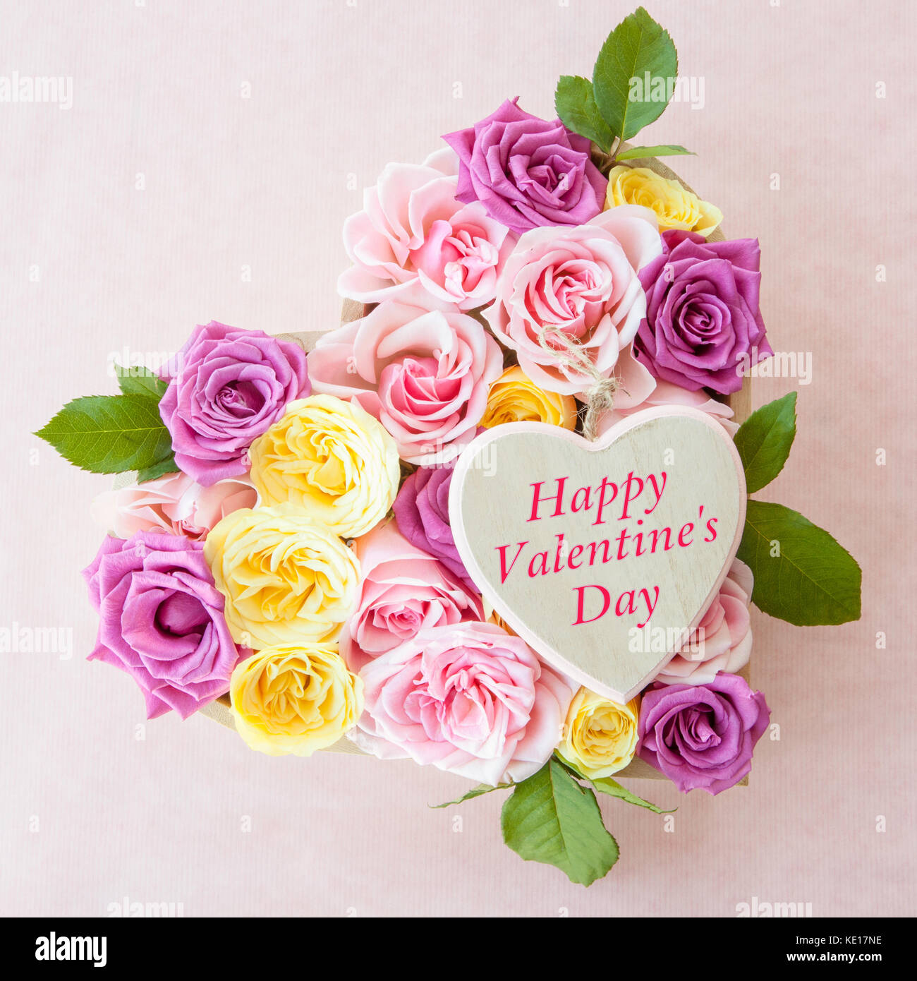 Fresh Roses Different Color Decorative roses different colors hi-res stock photography and images ...