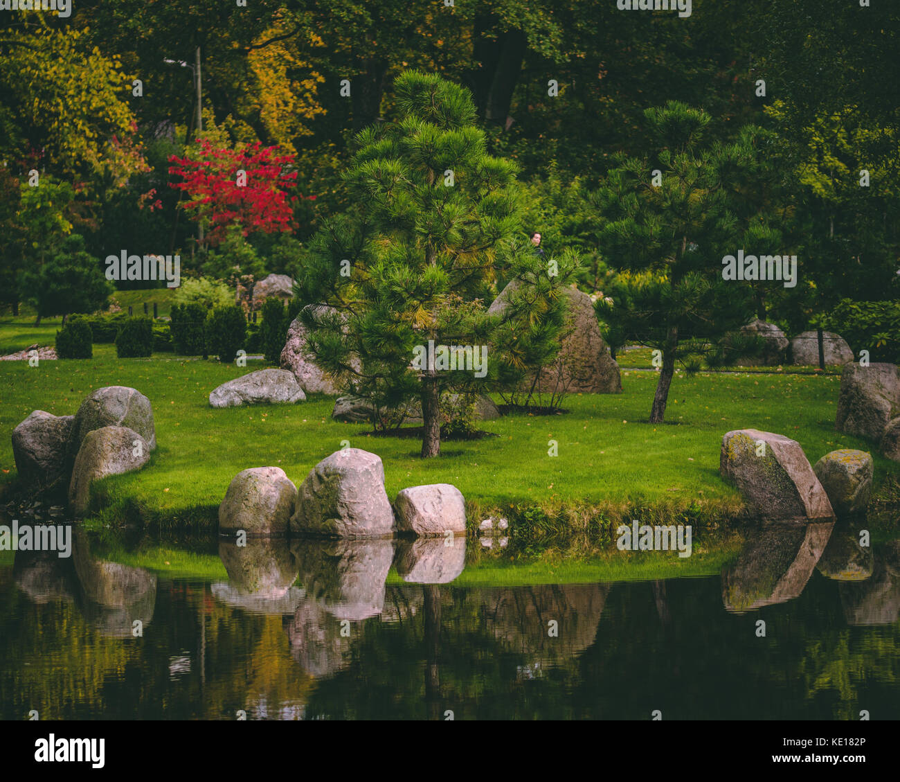Park summer sun tree hot hi-res stock photography and images - Alamy