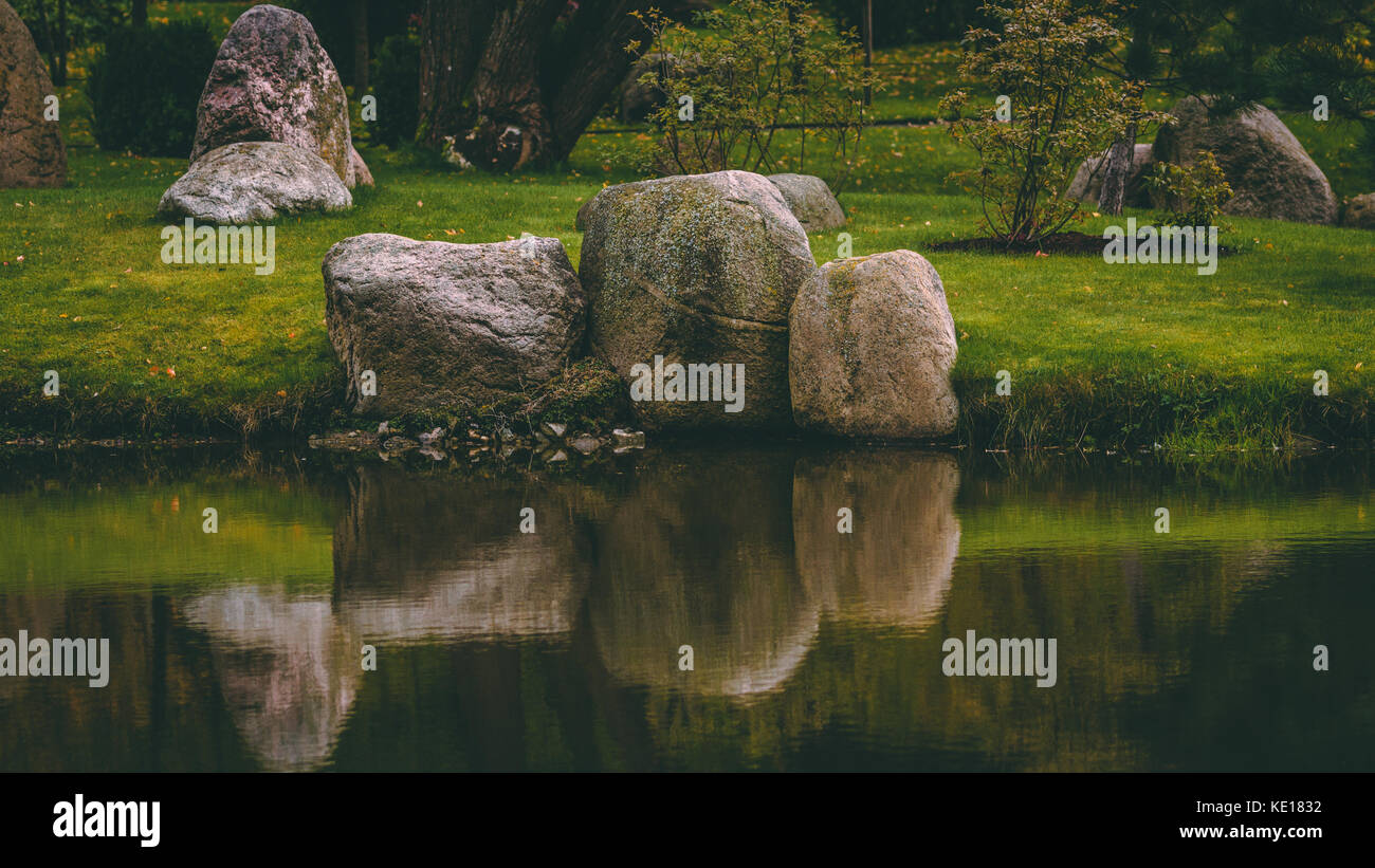 Water tree stones hi-res stock photography and images - Alamy