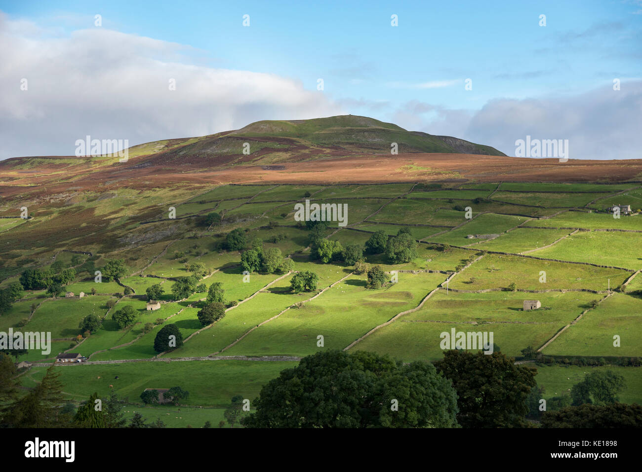 Calver hill near Reeth in Swaledale, Yorkshire Dales, England. Stock Photo