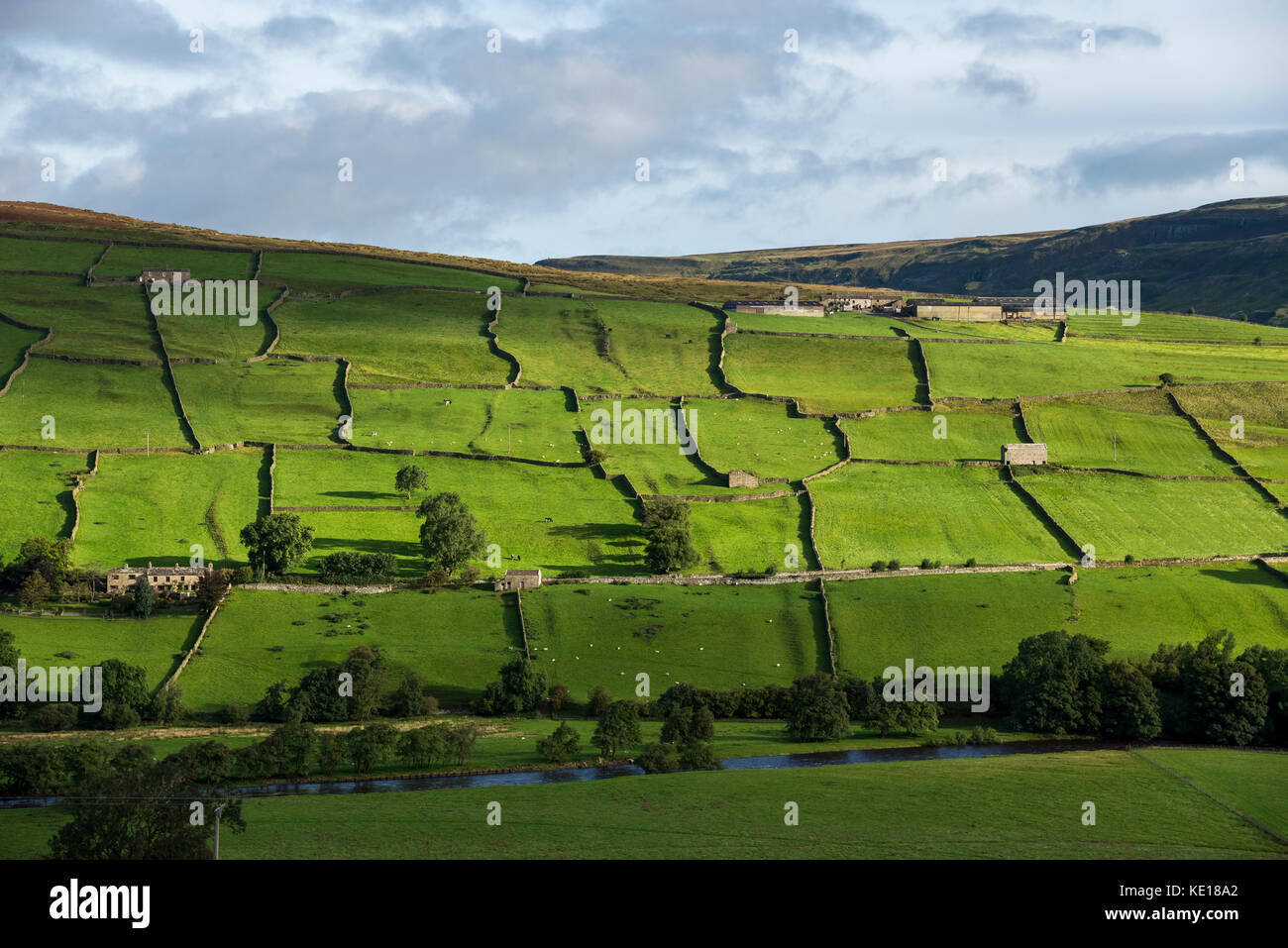 Patchwork of green fields above the river Swale near Reeth in the Yorkshire Dales, England. Stock Photo