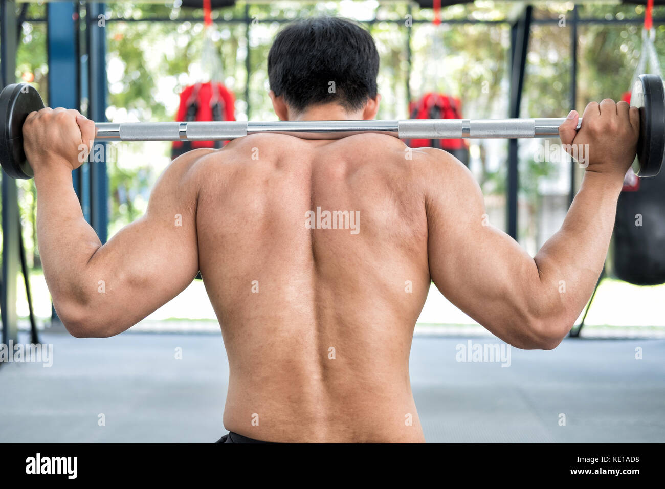 young muscular man execute exercise in fitness center. male athlete pump up  muscle in gym. weightlifter working out with barbell in health club Stock  Photo - Alamy