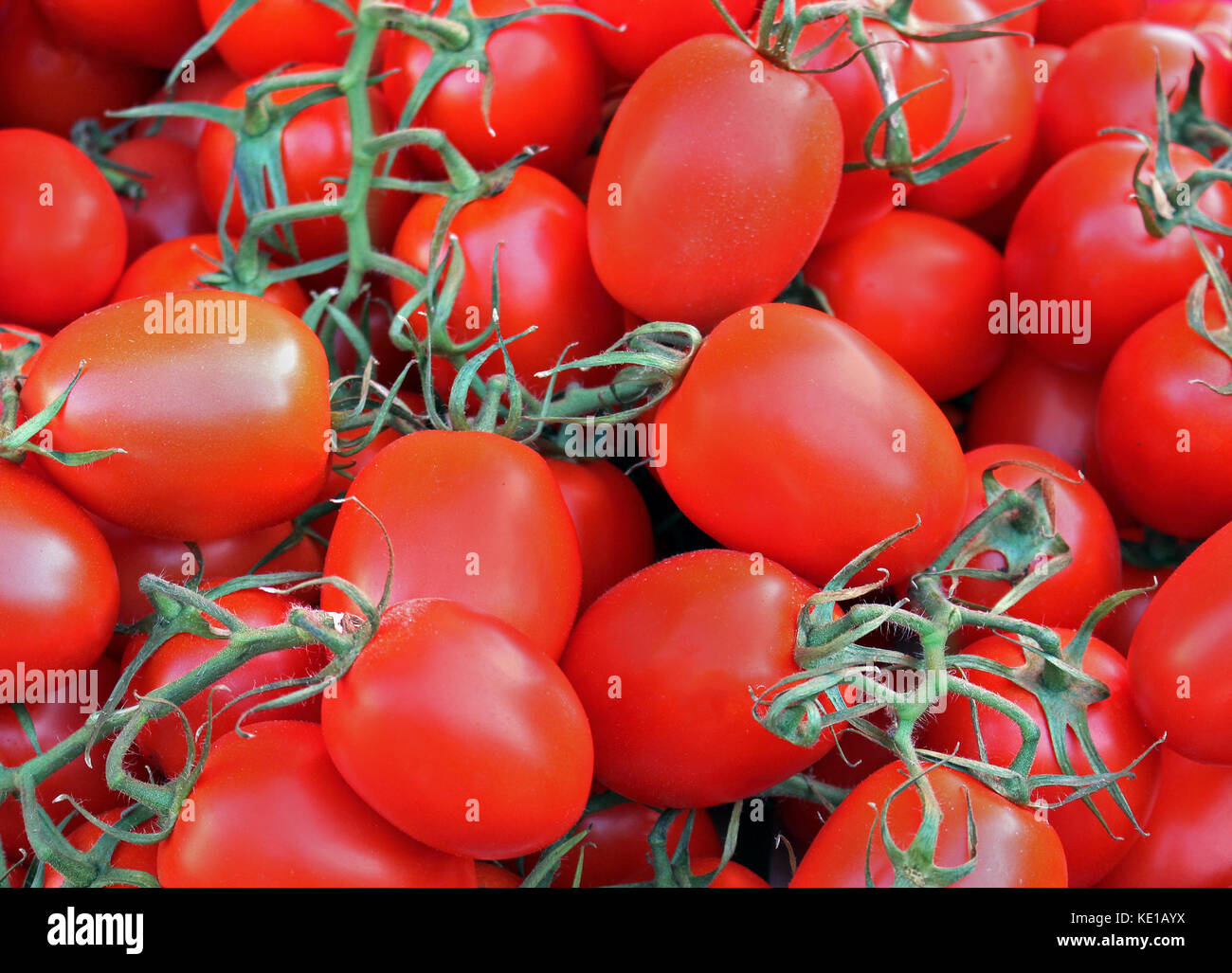 Fresh organic red cherry tomatoes pile sold on market Stock Photo - Alamy