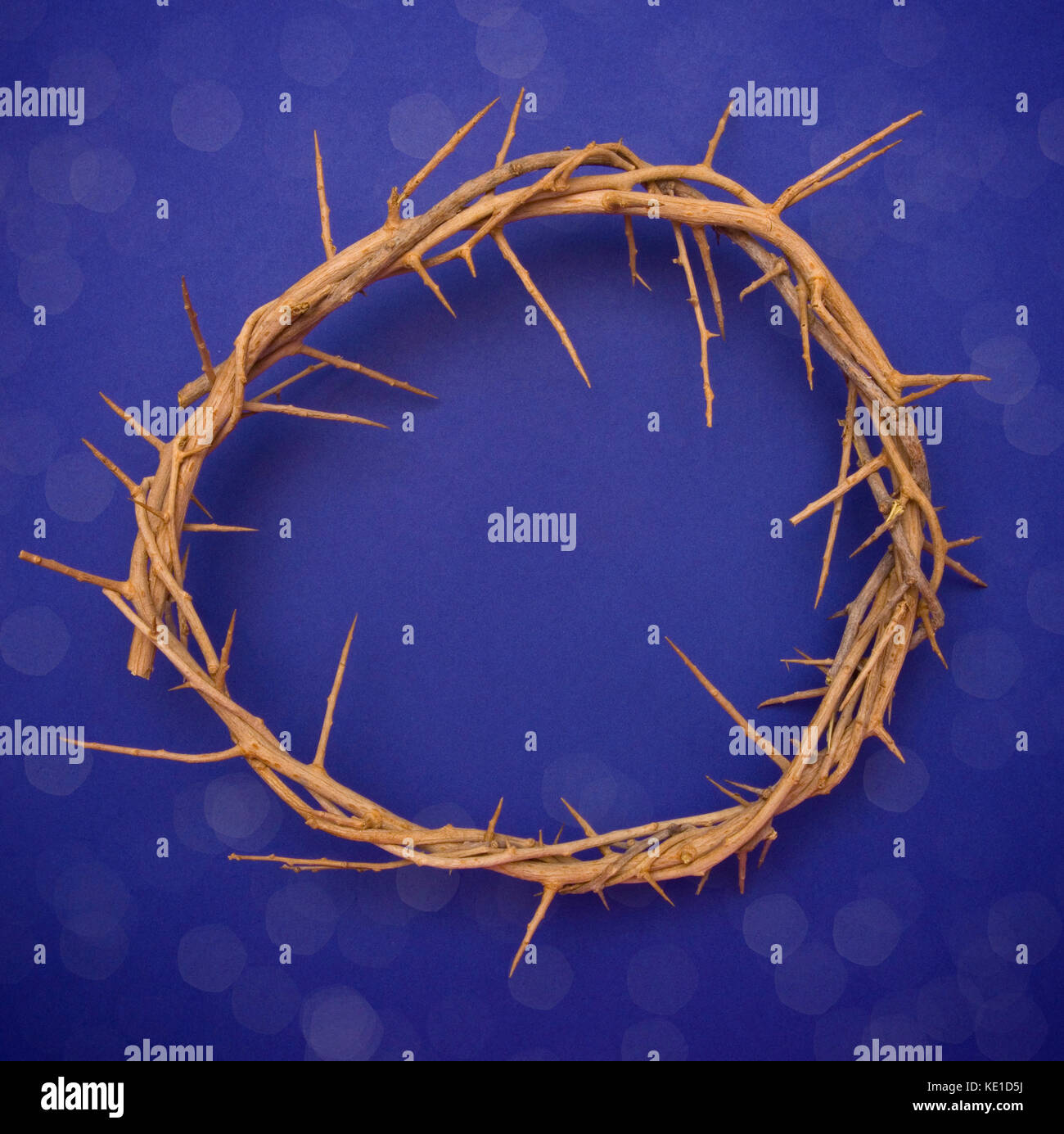 Jesus' Crown of Thorns Stock Photo - Alamy