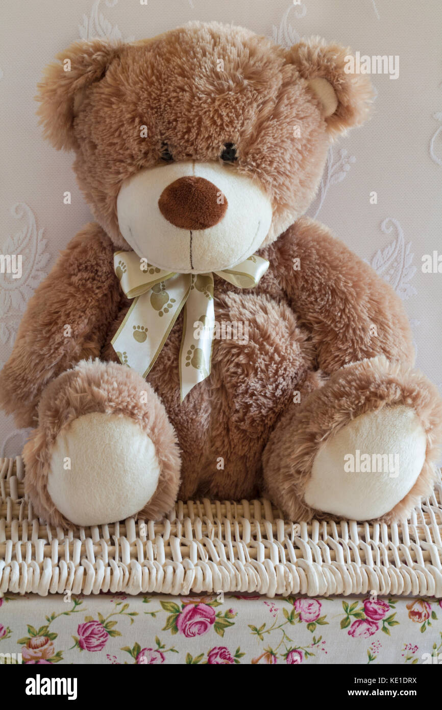 Teddy Bear soft cuddly toy sitting on wicker basket Stock Photo Alamy